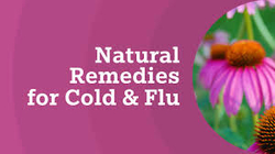Cold-Flu-Immune Remedies